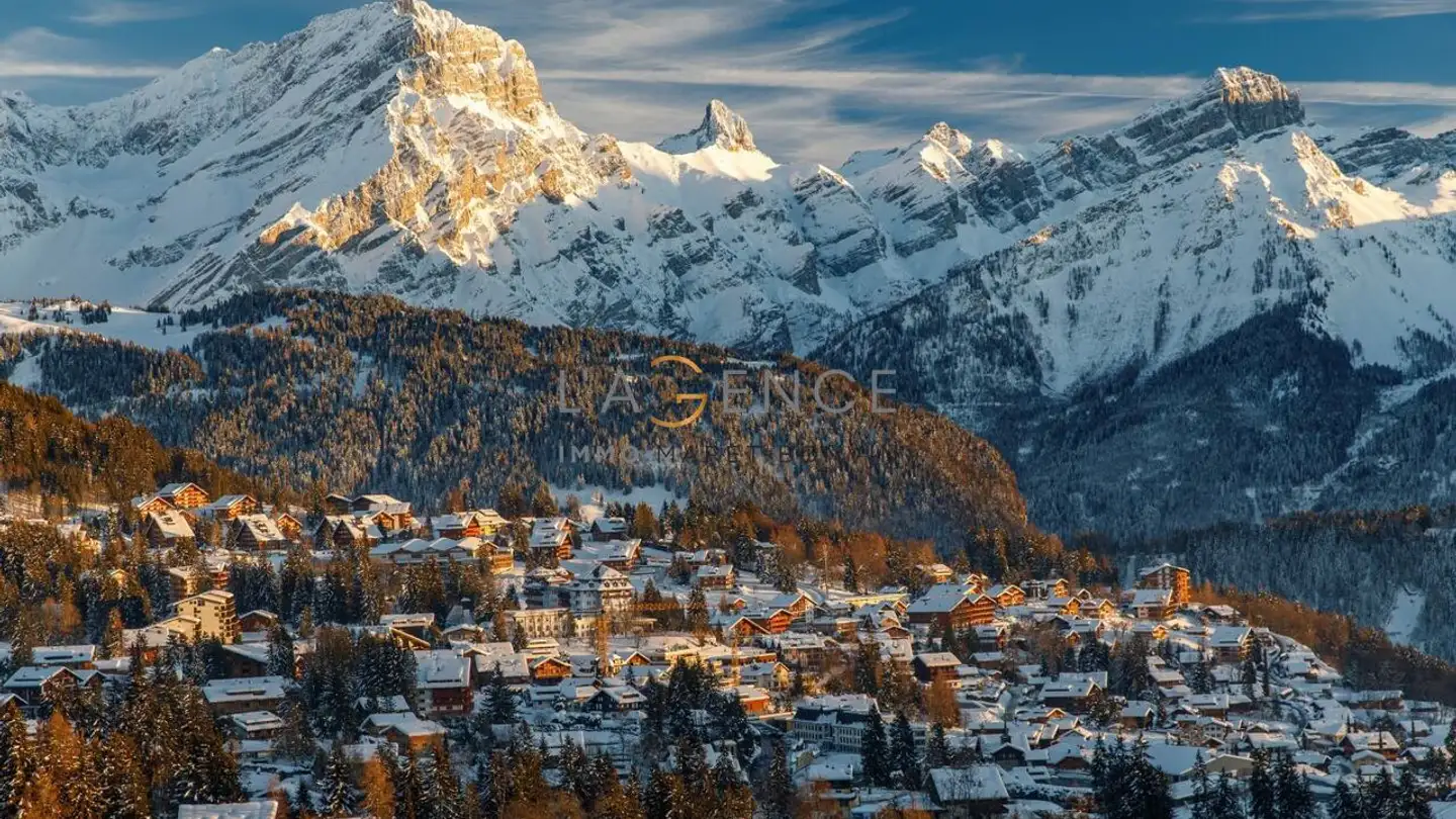 Terrain constructible à vendre - 1884 Villars-sur-Ollon - Photo 2