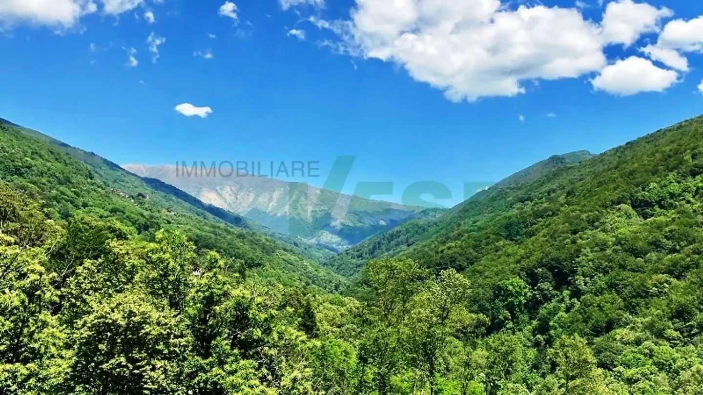 Villa à vendre - 6956 Lopagno - Photo 4