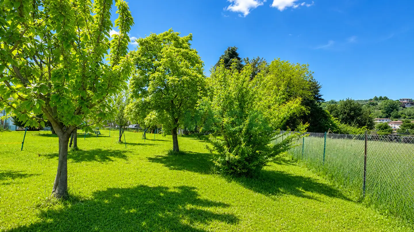 Constructible plot for sale - 6877 Coldrerio - Photo 4