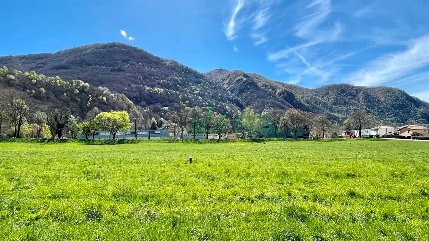 Residential building for sale - Via Bironico, 6804 Bironico - Photo 2