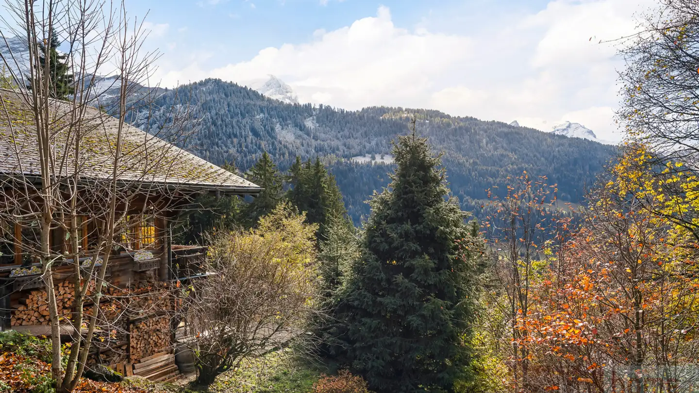 Chalet in vendita - Chemin De La Traverse 38, 1882 Gryon - Foto 3