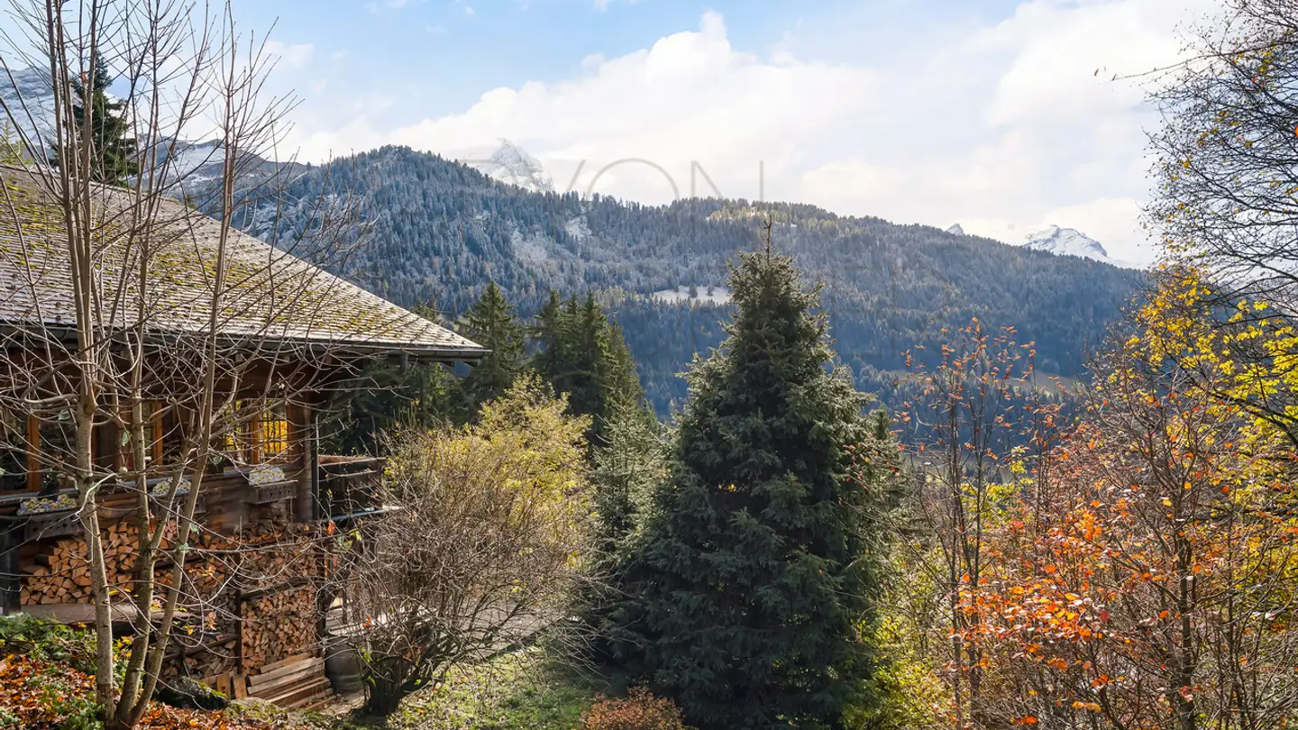 Chalet for sale - Chemin De La Traverse 38, 1882 Gryon - Photo 3