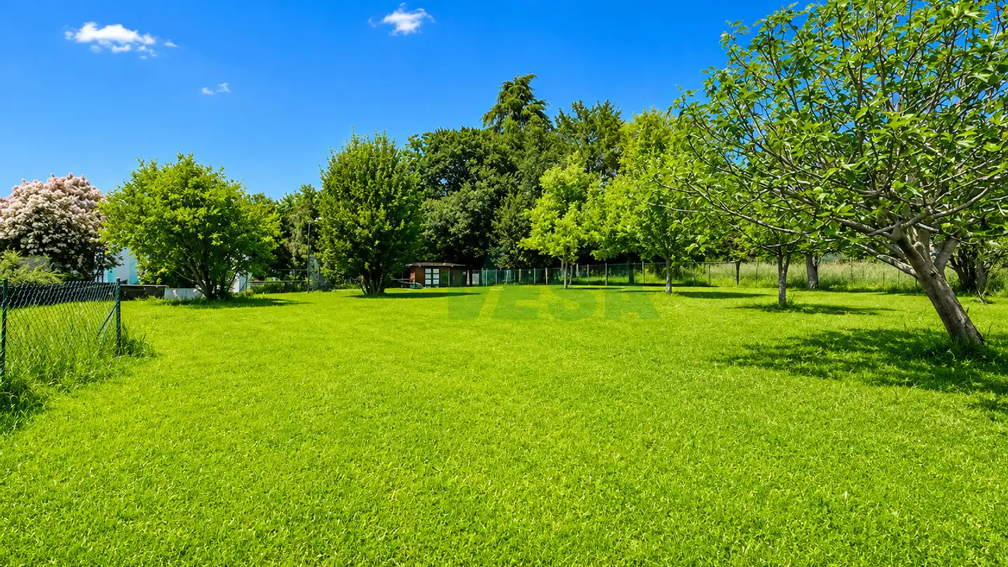 Constructible plot for sale - 6877 Coldrerio - Photo 3