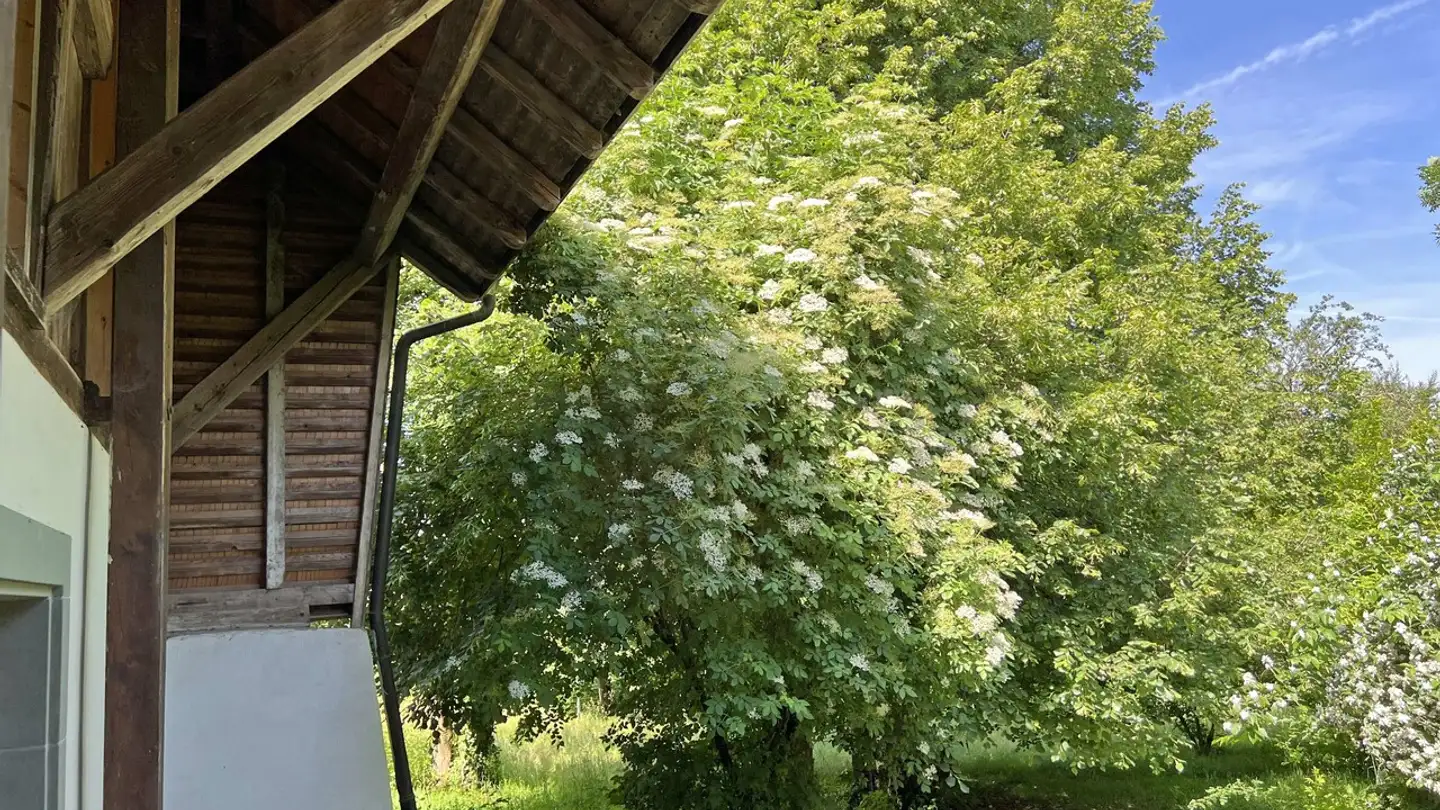 Casa singola in vendita - 1728 Rossens FR - Photo 2