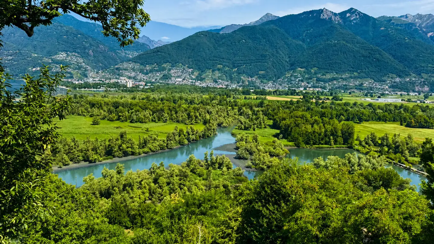 Terreno edificabile in vendita - Via Orgnana 29, 6573 Magadino - Foto 4