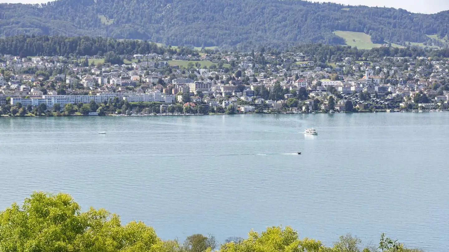 Villa in affitto - 8703 Erlenbach ZH