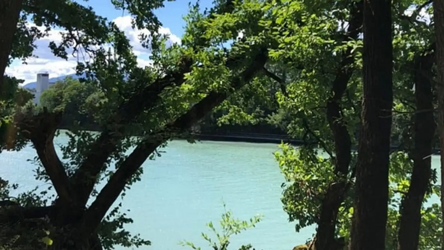 Casa a schiera in vendita - 1219 Aïre - Photo 2