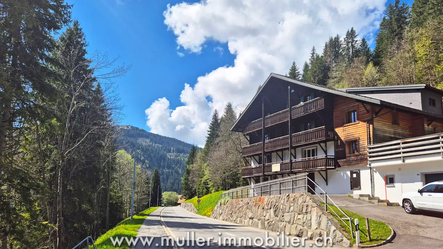 Chalet à vendre - 1875 Morgins