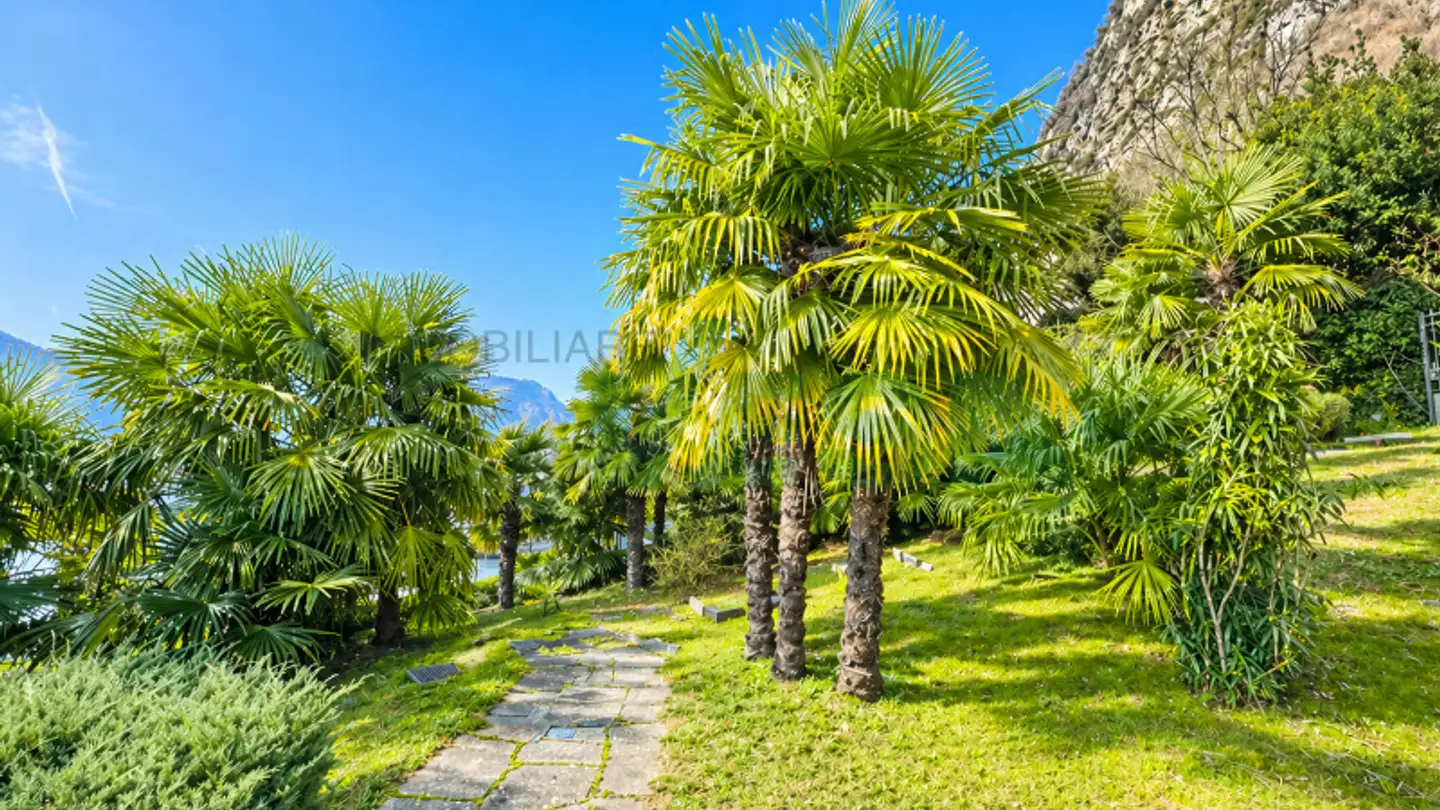 Constructible plot for sale - 6850 Mendrisio - Photo 3