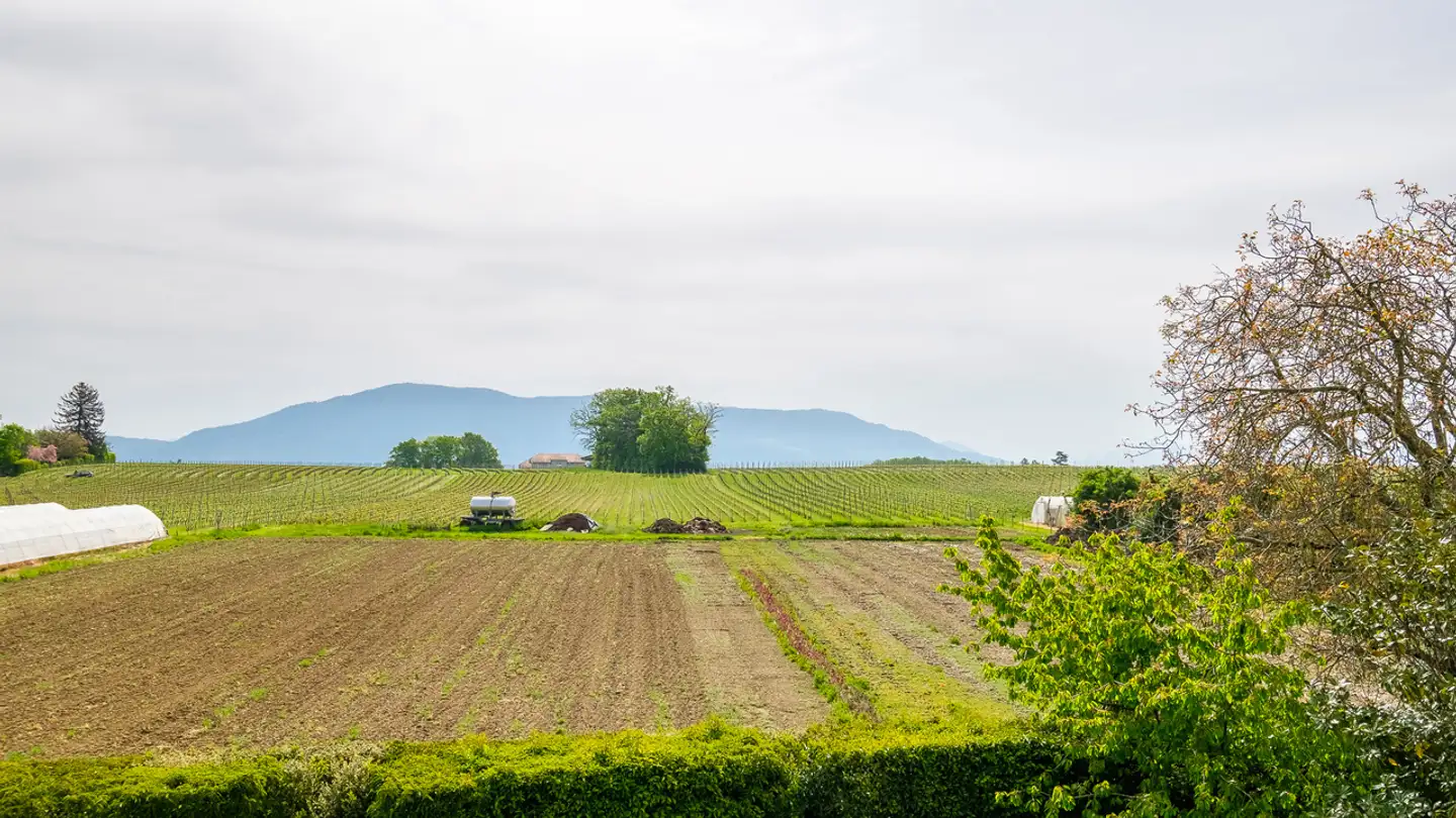 Casa singola in vendita - 1247 Anières - Photo 4