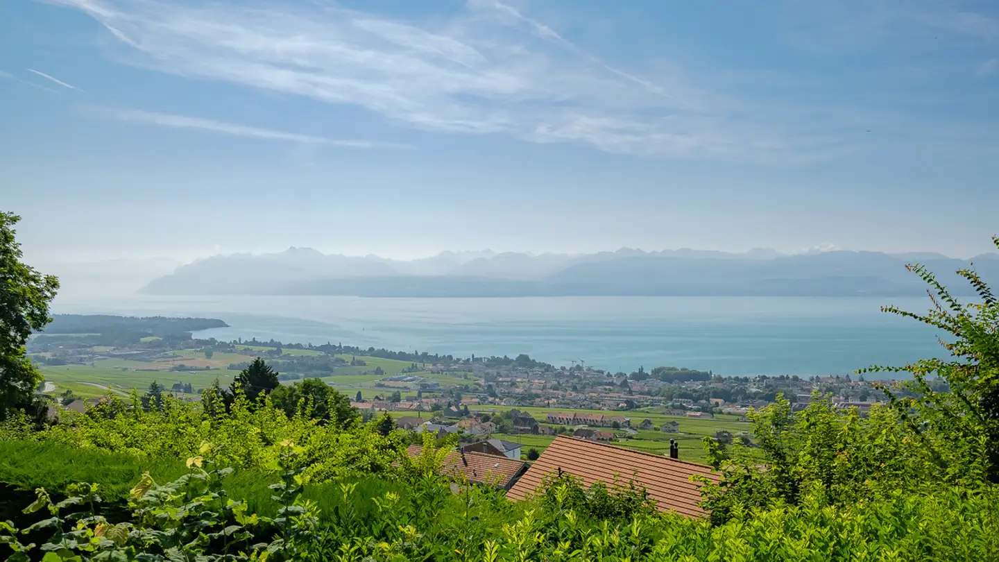 Casa singola in vendita - 1185 Mont-sur-Rolle - Photo 2