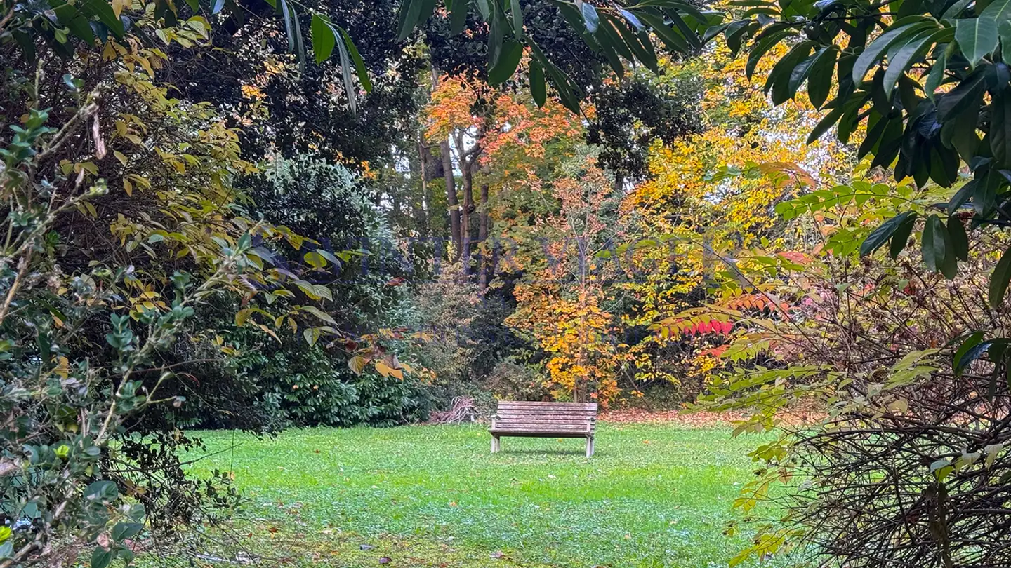 Appartamento in vendita - 1208 Genève - Photo 3