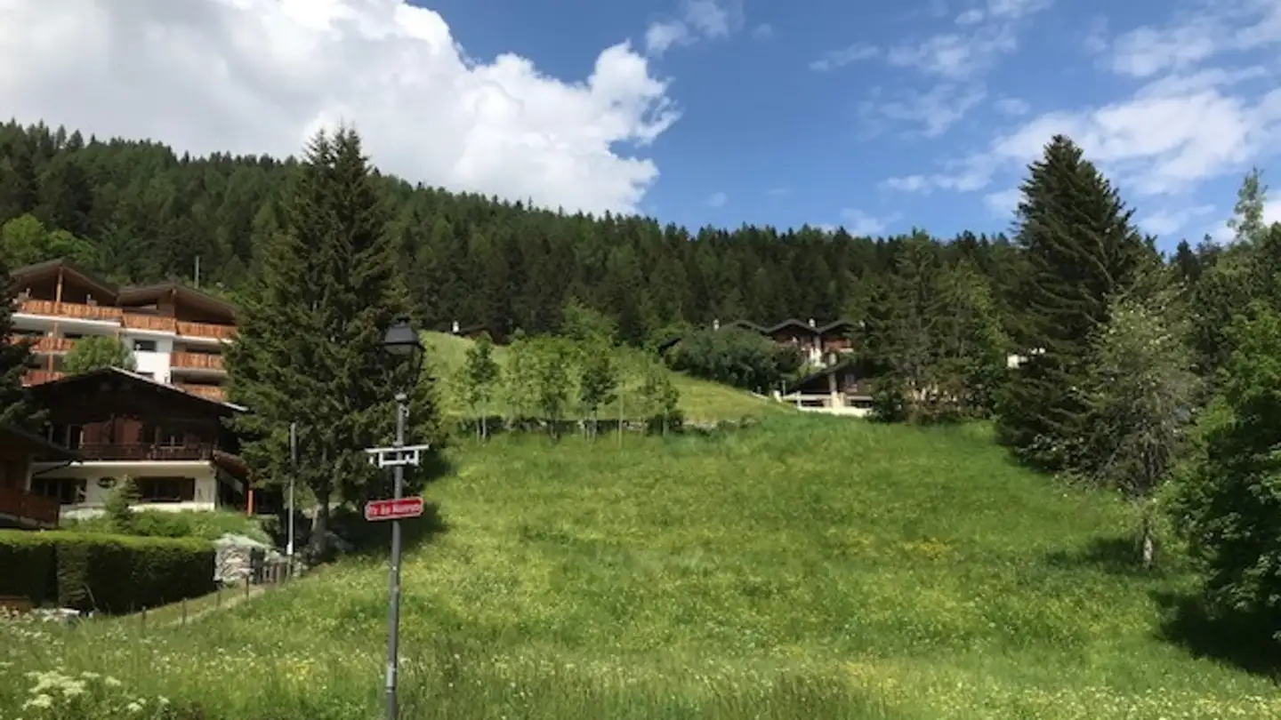 Terreno edificabile in vendita - 1911 Ovronnaz - Photo 3