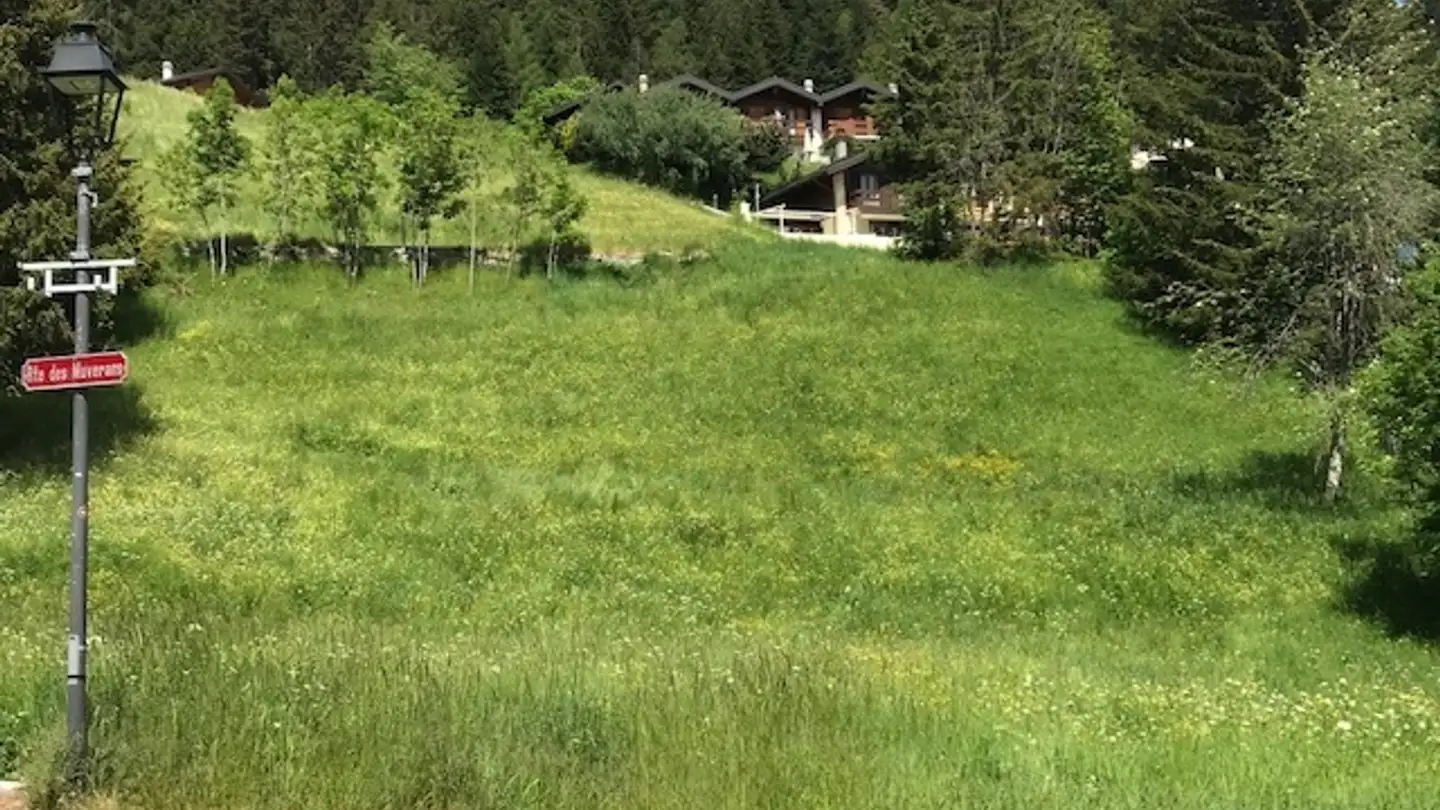 Terreno edificabile in vendita - 1911 Ovronnaz - Photo 2