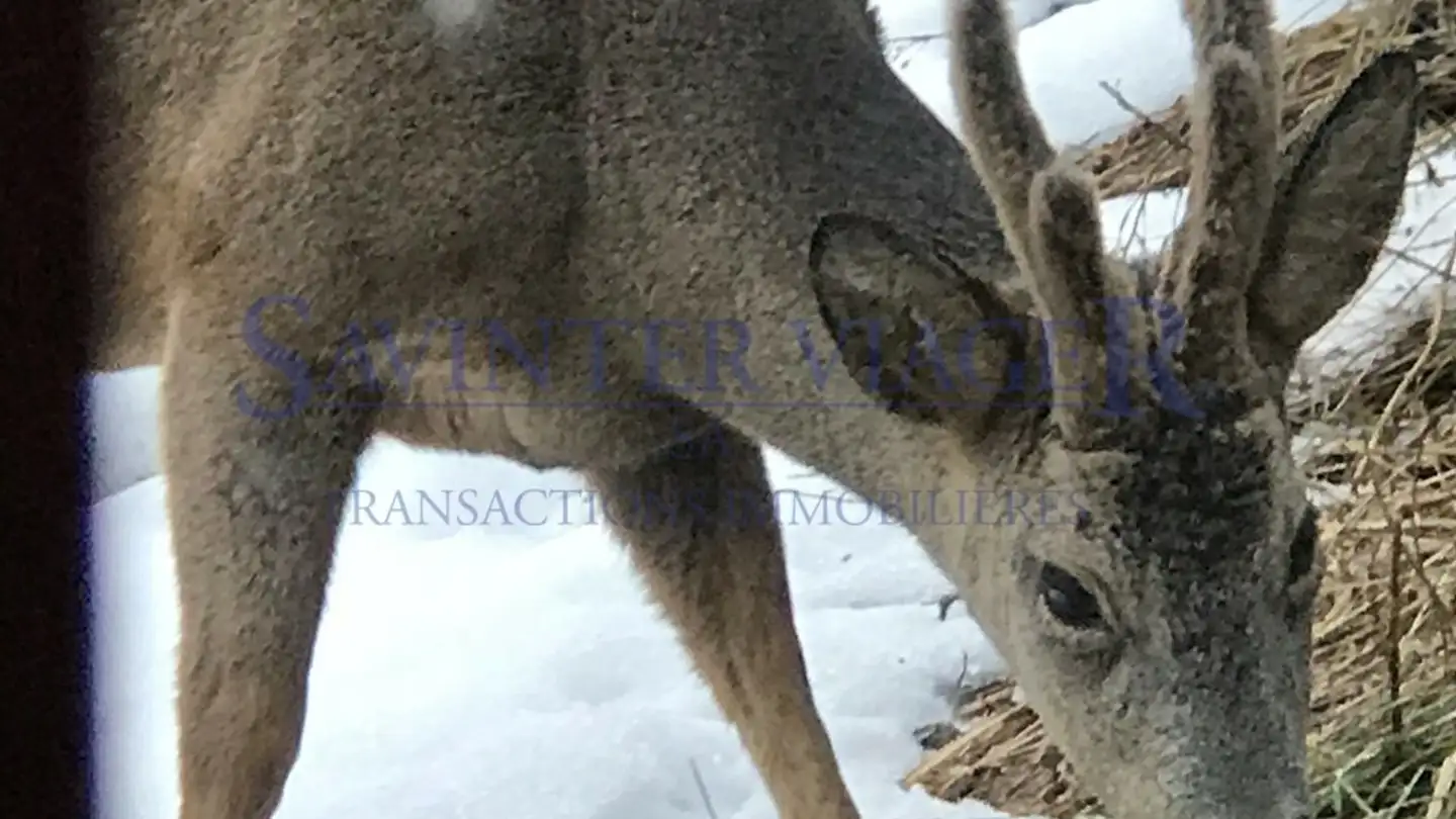 Chalet in vendita - 1874 Champéry - Photo 2
