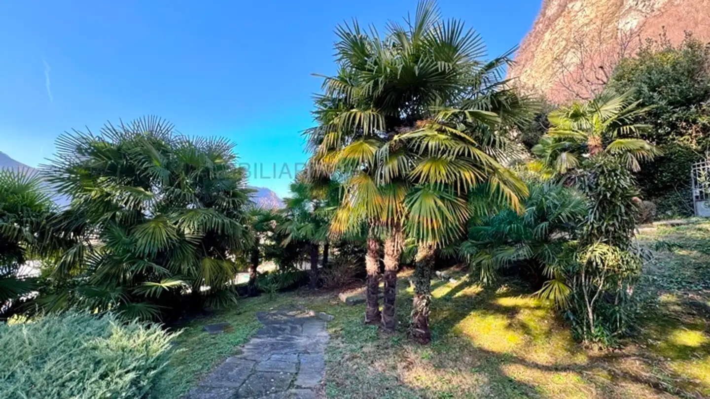 Constructible plot for sale - 6850 Mendrisio - Photo 3