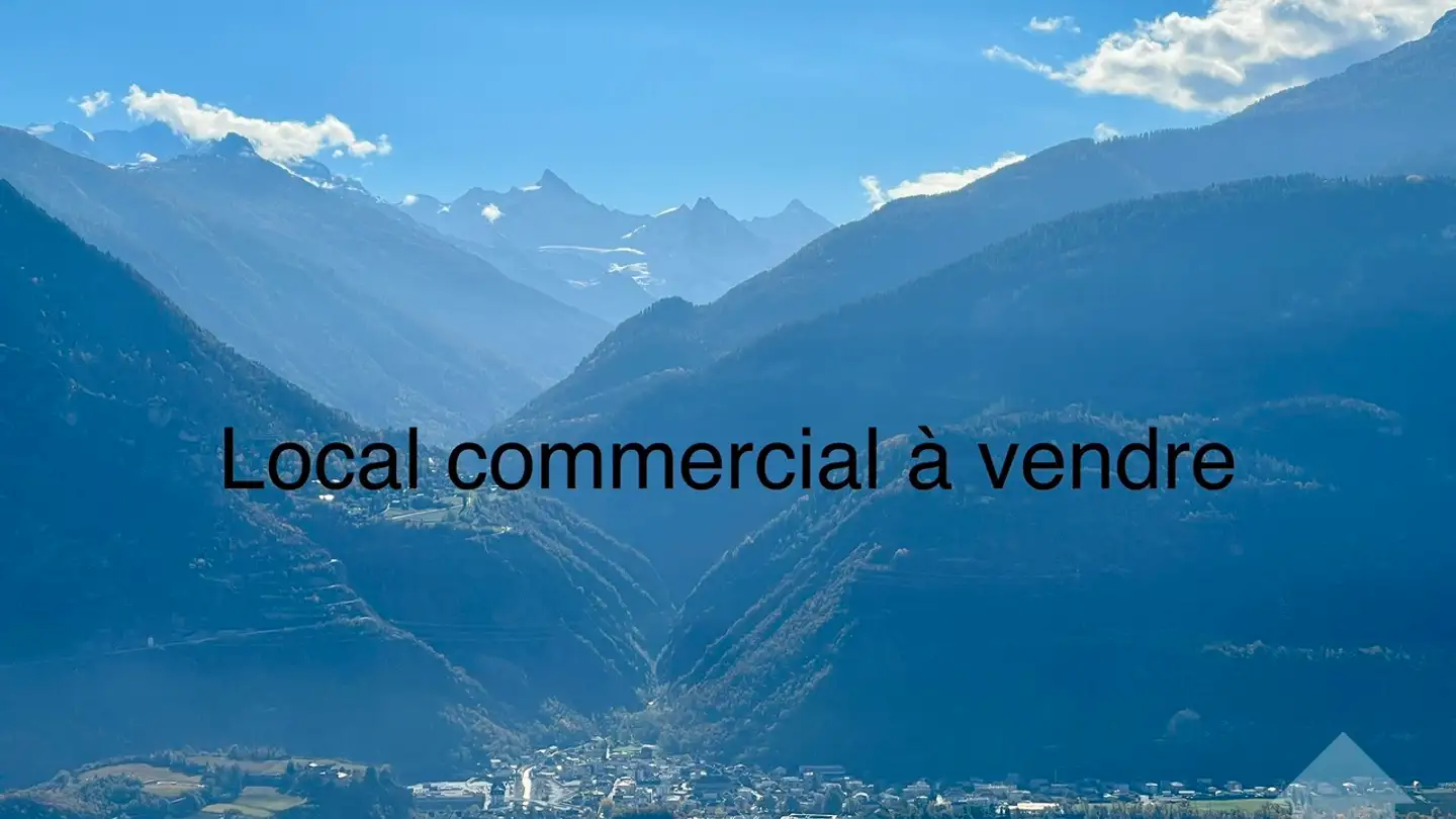 Commerciale in vendita - 3960 Sierre