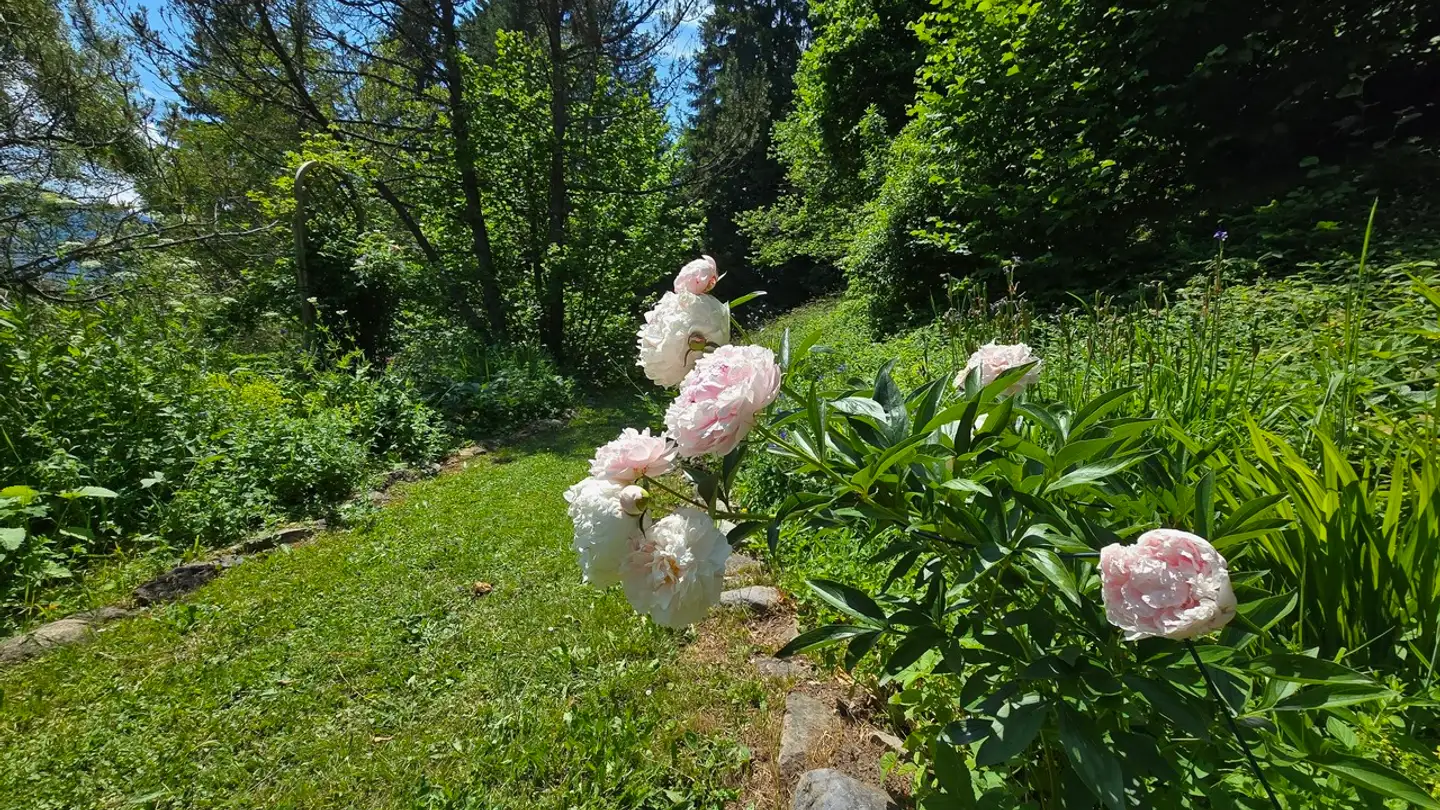 Chalet in vendita - 1882 Gryon - Photo 4