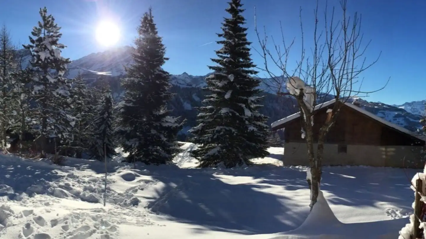 Appartamento in vendita - 1882 Gryon - Foto 2