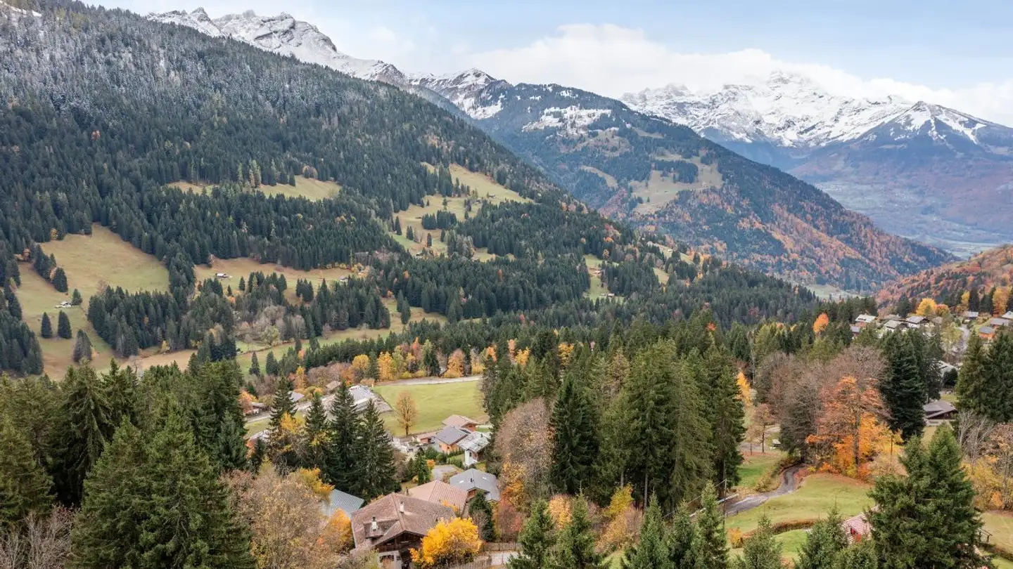 Chalet in vendita - 1882 Gryon - Photo 4