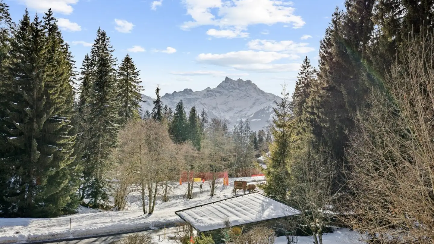 Apartment for sale - 1884 Villars-sur-Ollon