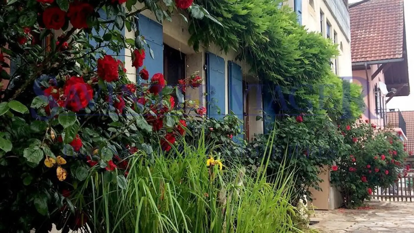 Appartamento in vendita - 1421 Fontaines-sur-Grandson - Photo 2