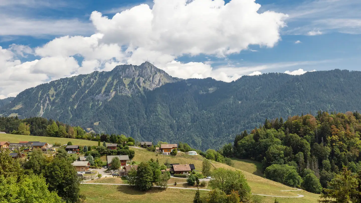 Wohnung kaufen - 1854 Leysin - Foto 3