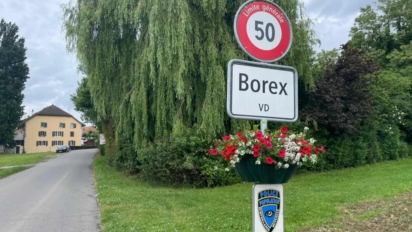 Attico in affitto - Au Village 16, 1277 Borex - Photo 2