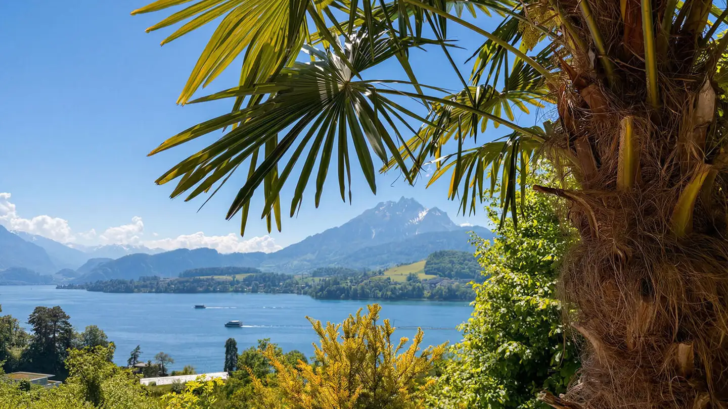 Studio mieten - Rebstockhalde 27, 6006 Luzern