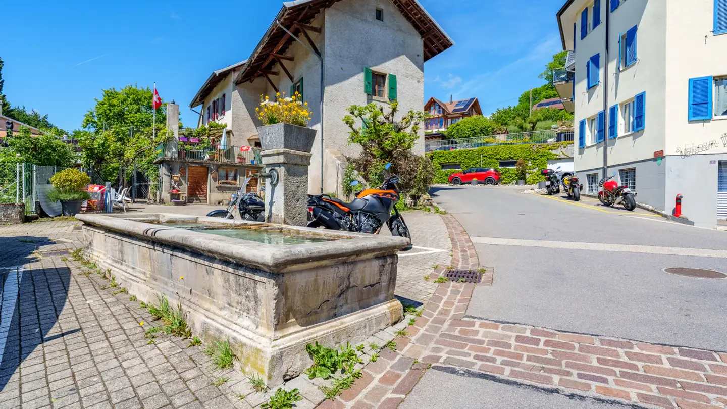 Maison en terrasse à vendre - Rue De Venengy 1, 1174 Montherod - Photo 2