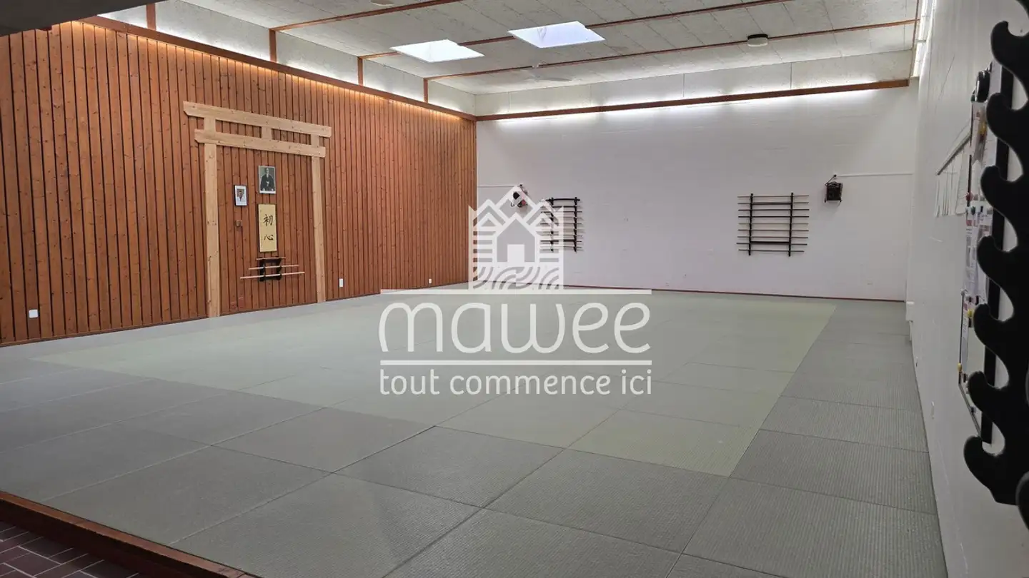 Commercial for sale - 1920 Martigny