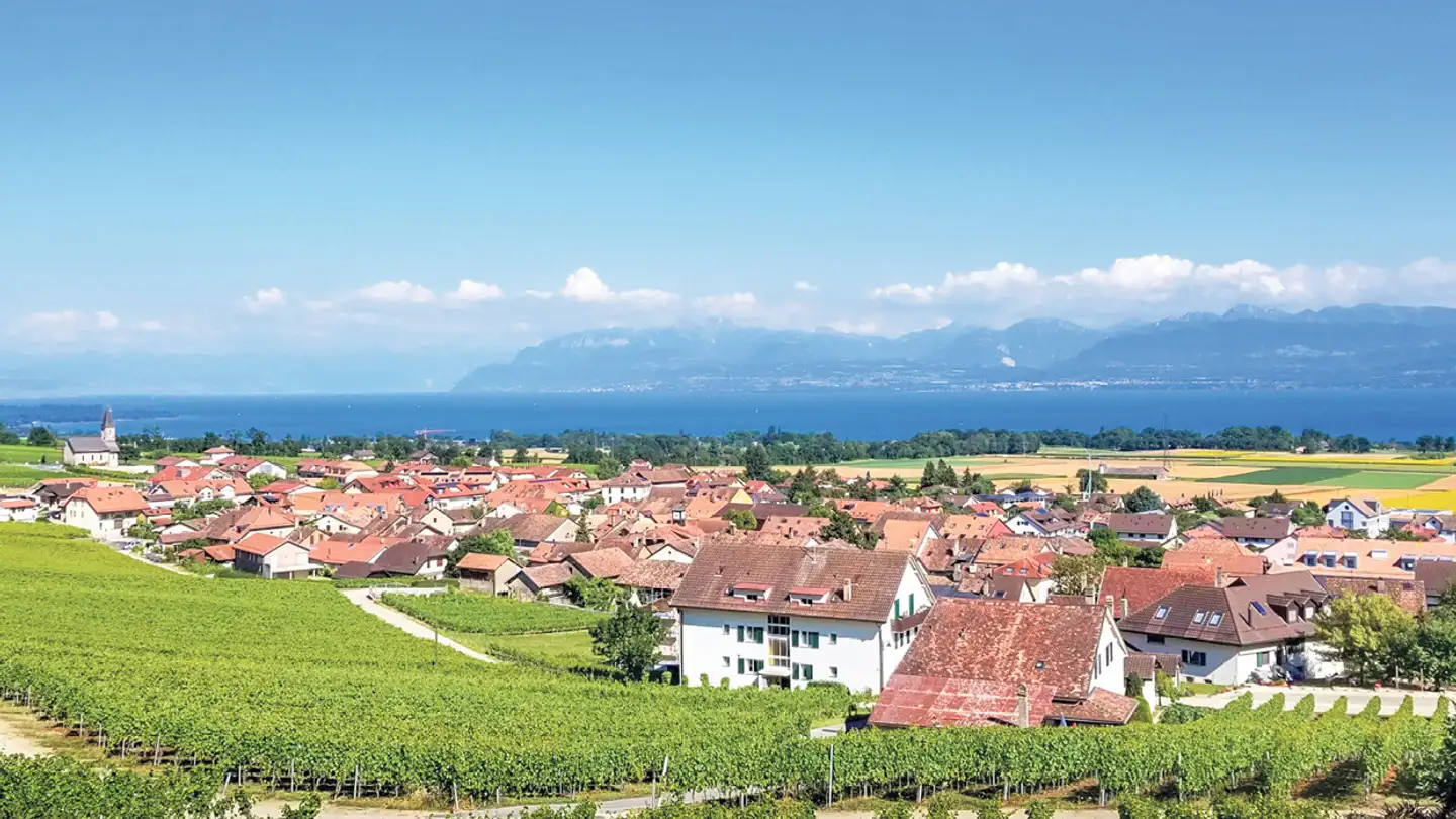 Wohnung kaufen - Chemin Des Cerisiers 3, 1182 Gilly