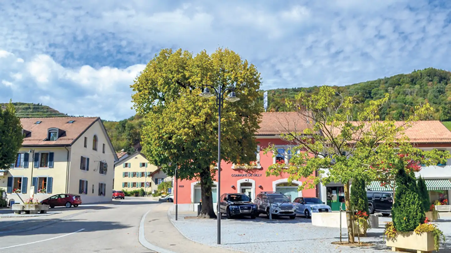 Wohnung kaufen - Chemin Des Cerisiers 3, 1182 Gilly - Foto 2