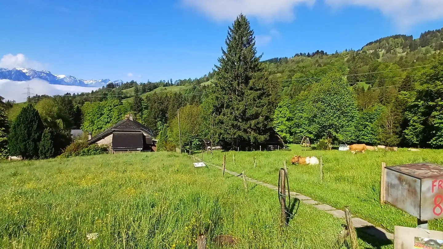 Chalet à vendre - 1832 Villard-sur-Chamby - Photo 2