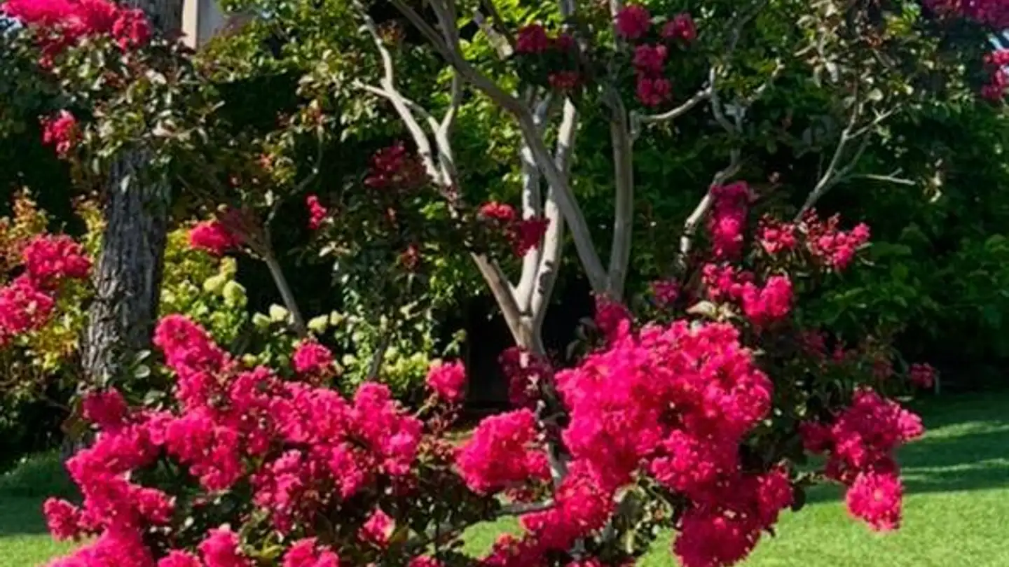 Casa singola in vendita - 1095 Lutry