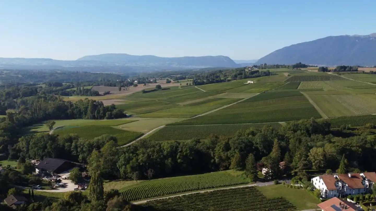 Casa singola in vendita - Chemin Des Pompes 12, 1283 Dardagny - Photo 3