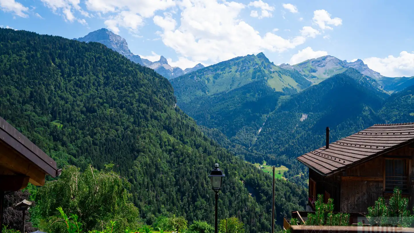 Wohnung mieten - Chemin De Servi 2, 1882 Gryon