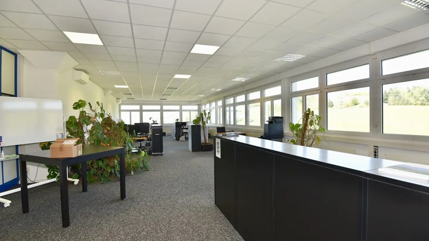 Bürofläche mieten - Artherstrasse 60, 6405 Immensee