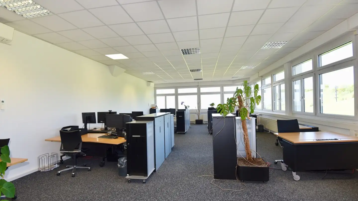 Bürofläche mieten - Artherstrasse 60, 6405 Immensee - Foto 3
