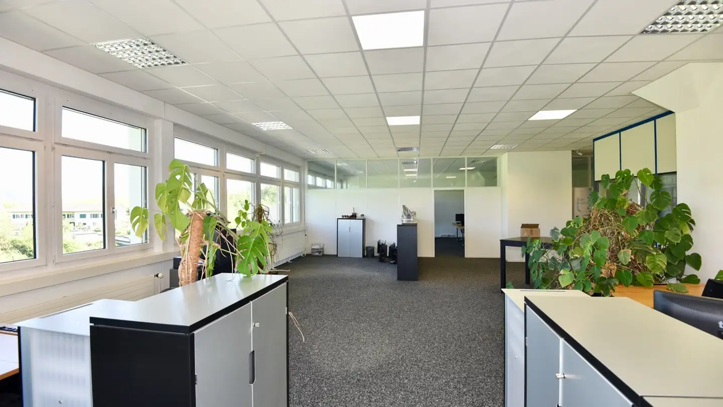 Commercial for rent - Artherstrasse 60, 6405 Immensee - Photo 2