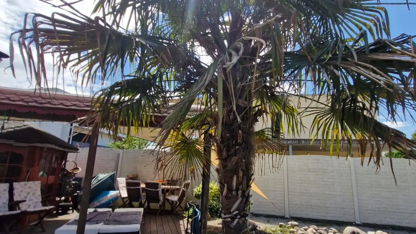 Appartement à louer - Schachenstrasse 34, 4562 Biberist