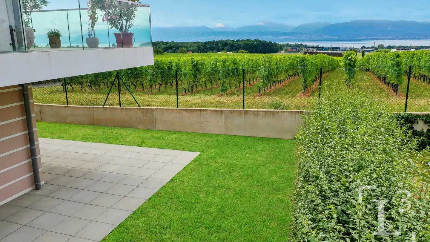 Appartamento in vendita - 1163 Etoy - Photo 3