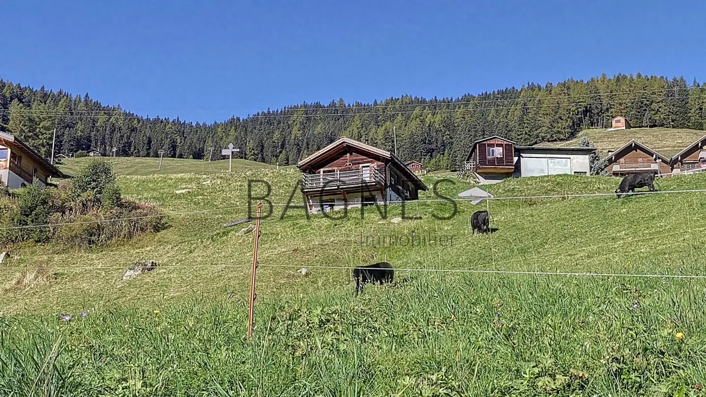 Chalet in affitto - Route De La Côt 190, 1934 Bruson