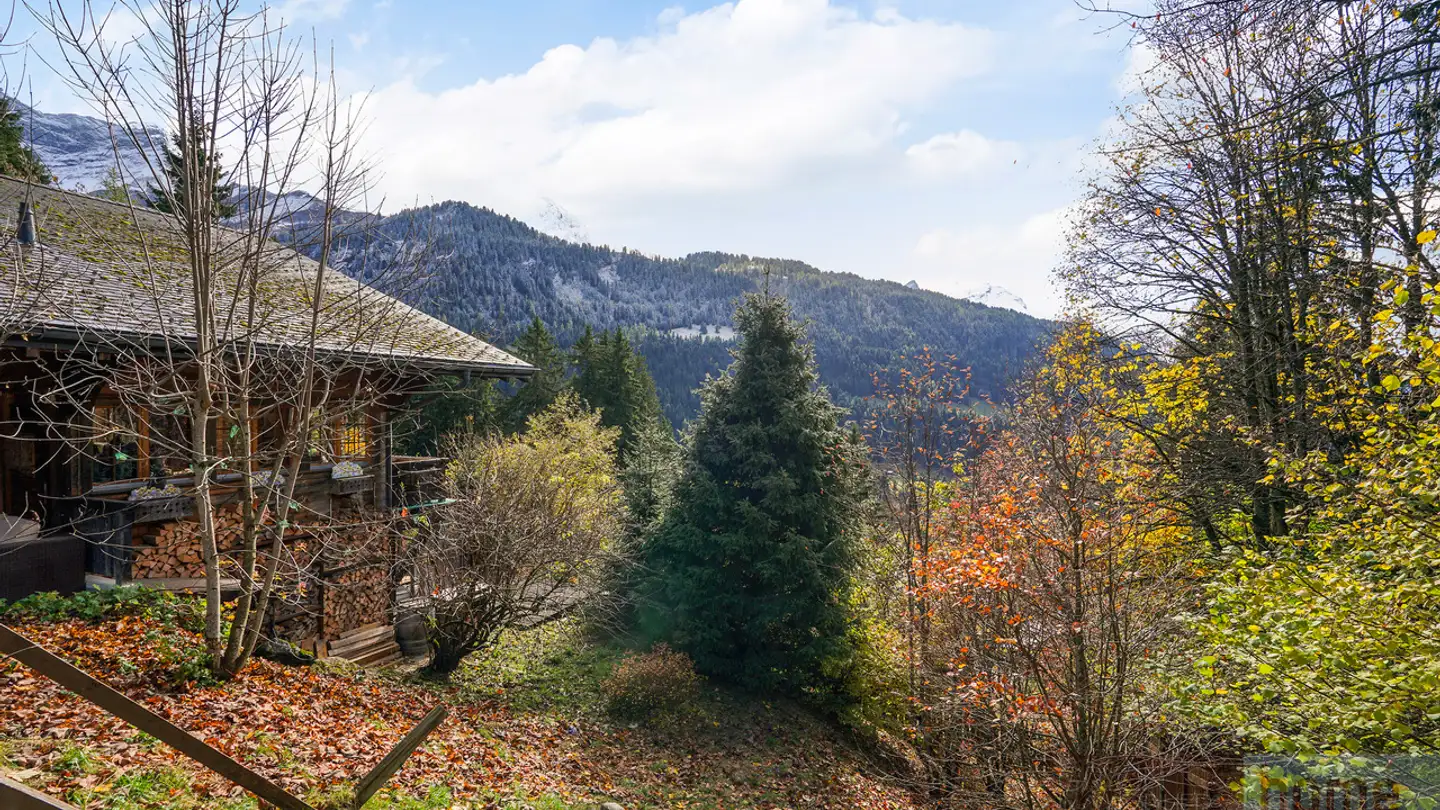 Chalet in vendita - Chemin De La Traverse 38, 1882 Gryon - Foto 2