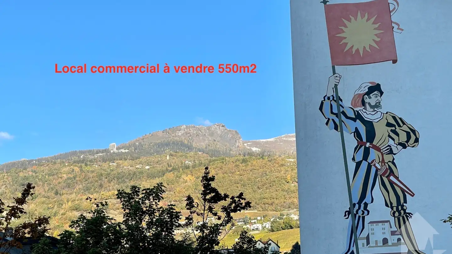 Gewerbe kaufen - 3960 Sierre