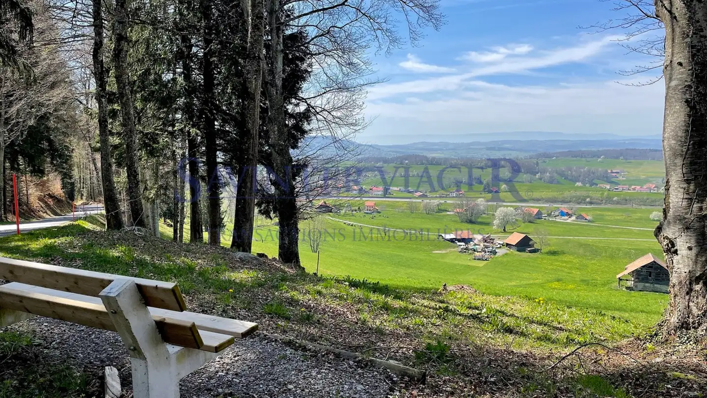 Appartamento in vendita - Route De La Frasse 265, 1618 Châtel-St-Denis - Photo 4