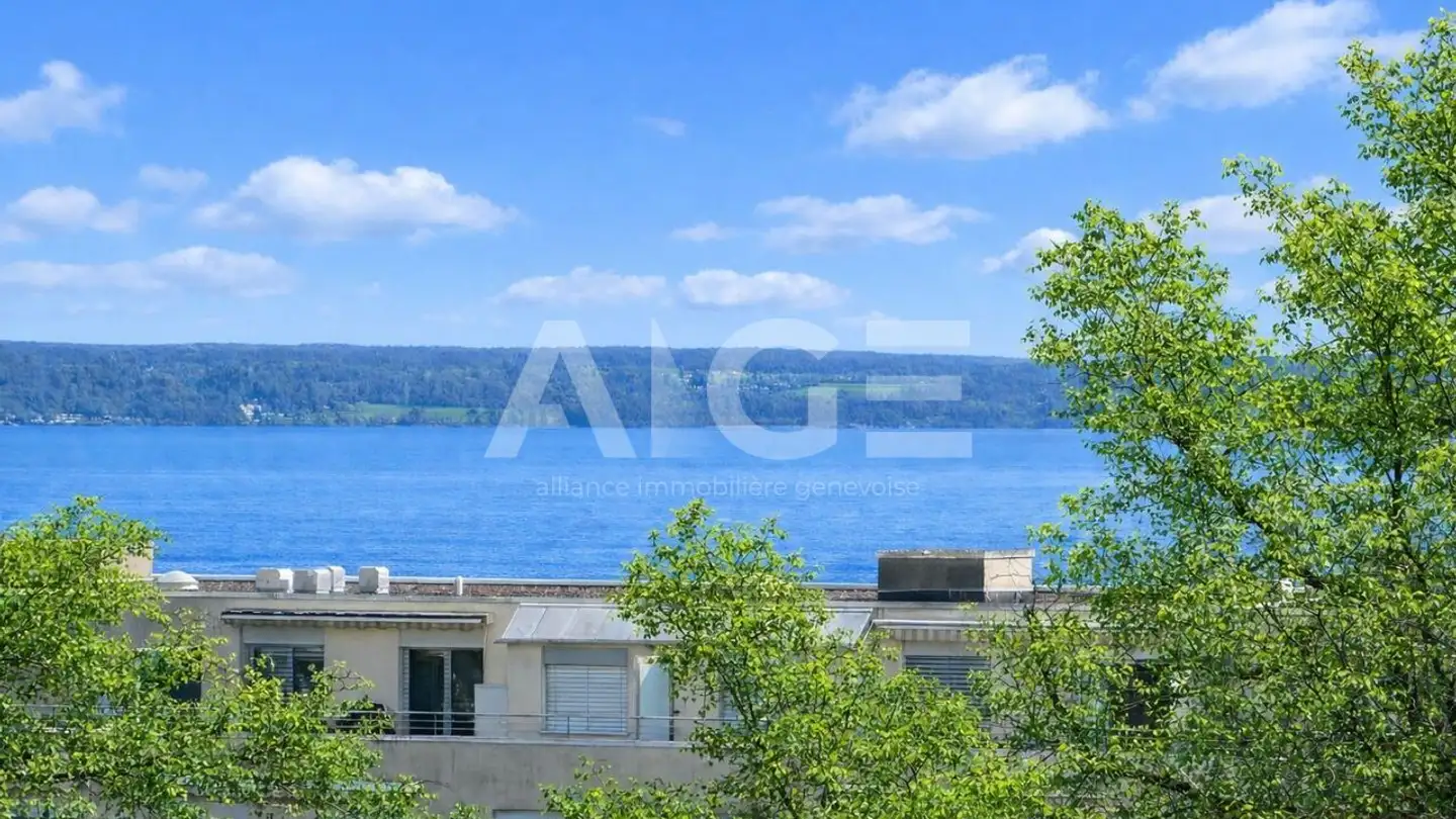 Appartamento in vendita - 1290 Versoix - Foto 4