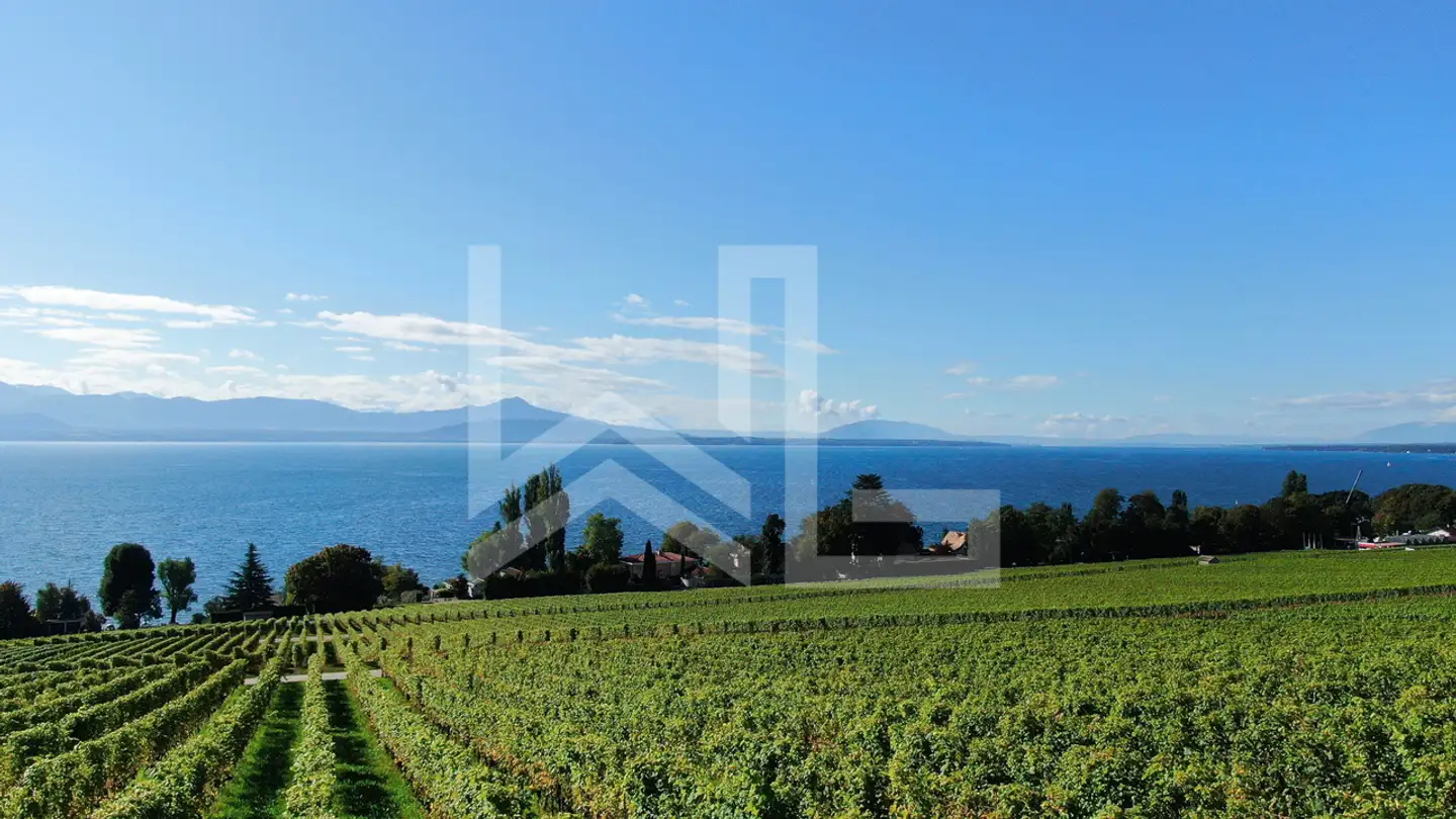 Single house for sale - 1166 Perroy