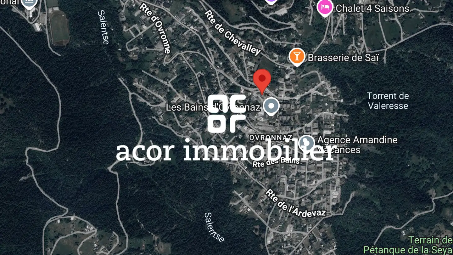 Appartement à vendre - Chemin Du Mayen Blanc 32, 1911 Ovronnaz - Photo 4