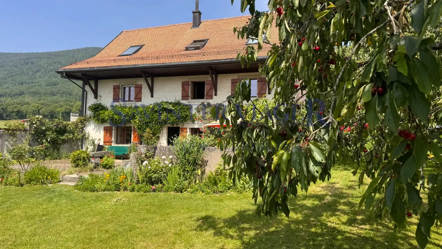 Maison individuelle à vendre - 1146 Mollens VD - Photo 2